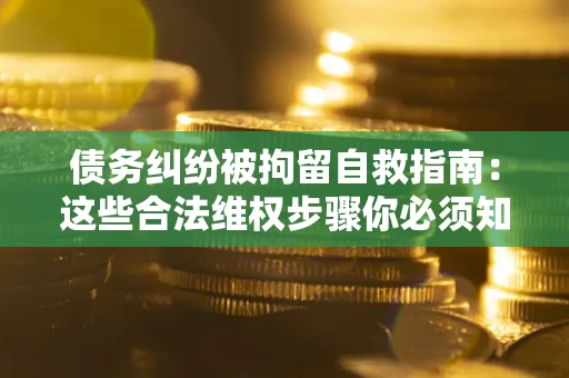 济南债务纠纷被拘留自救指南：这些合法维权步骤你必须知道！